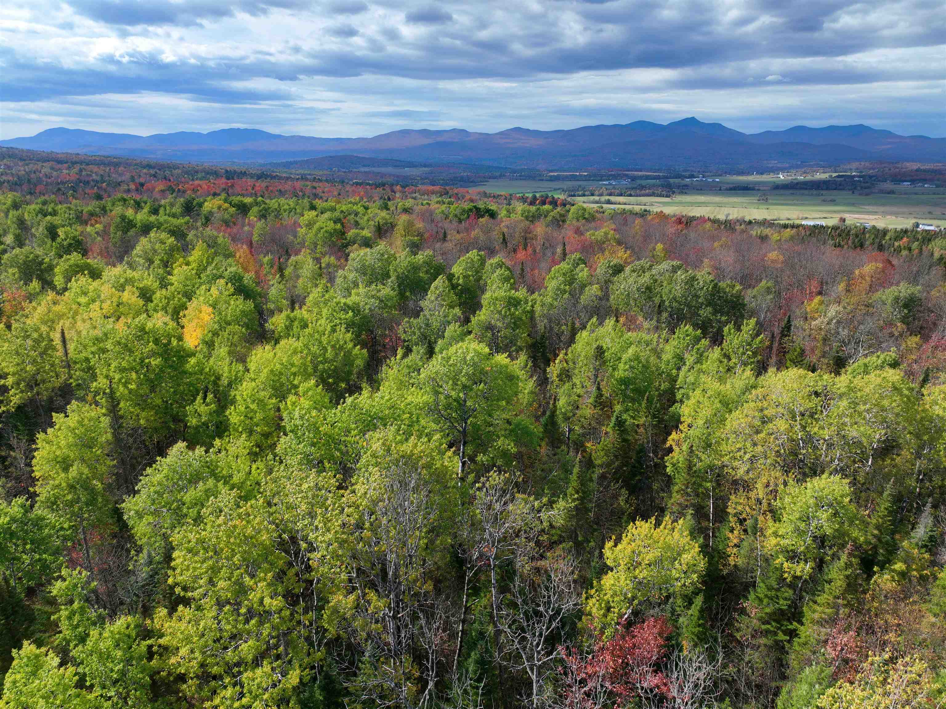 1414 Collins Mill Road Newport Town, VT 05857 - Photo 9 of 36