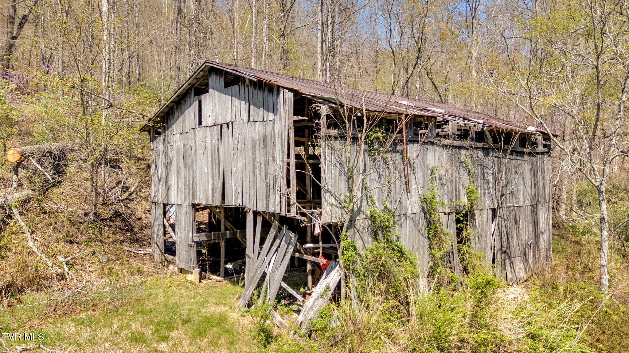 2740 Dry Creek Road Blackwater, VA 24221 - Photo 4 of 38 4-web-or-mls-DJI_20250409140952_0021_D