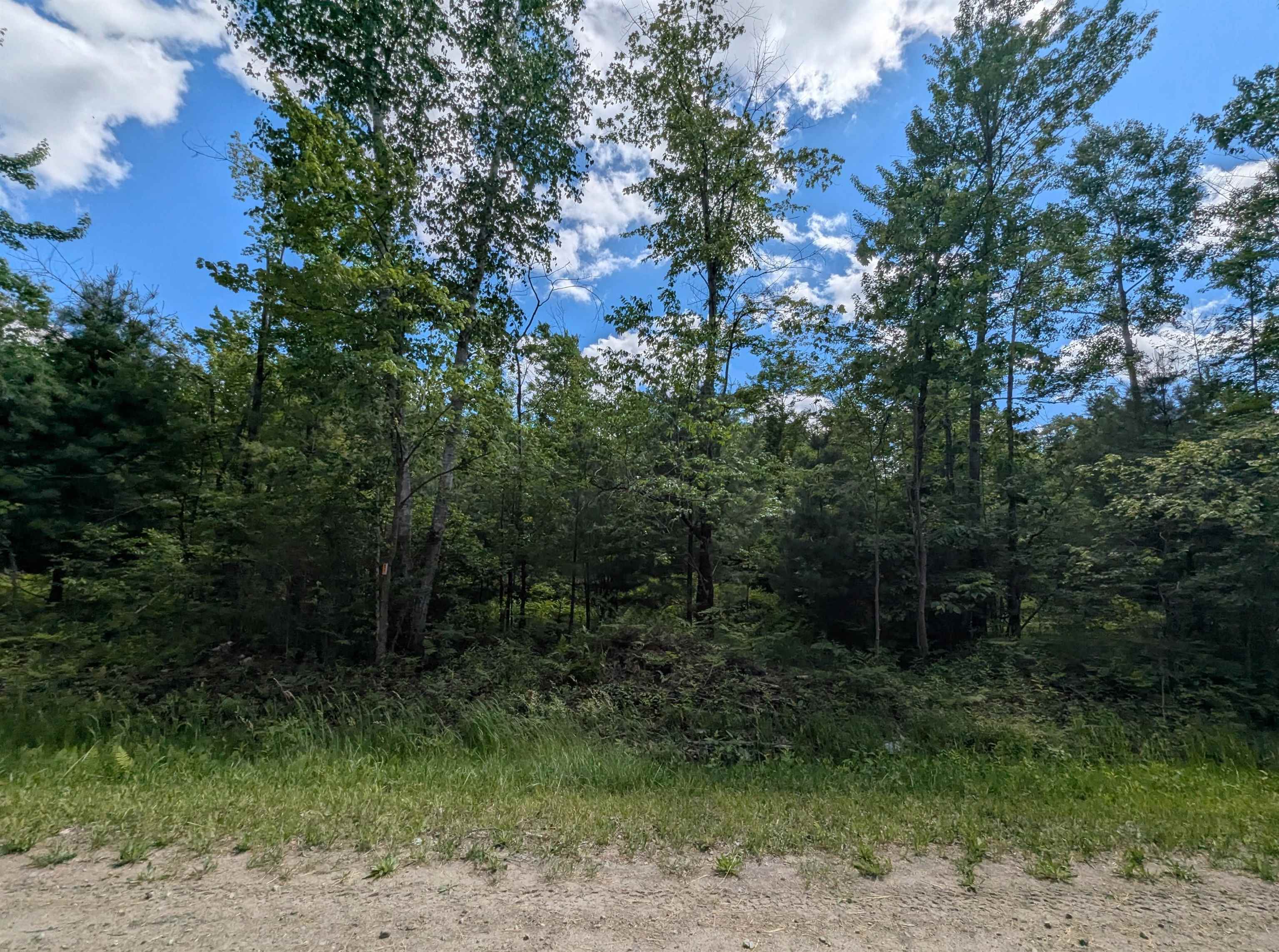 N/a Bordeau Road Standish, MI 48658 - Photo 5 of 8