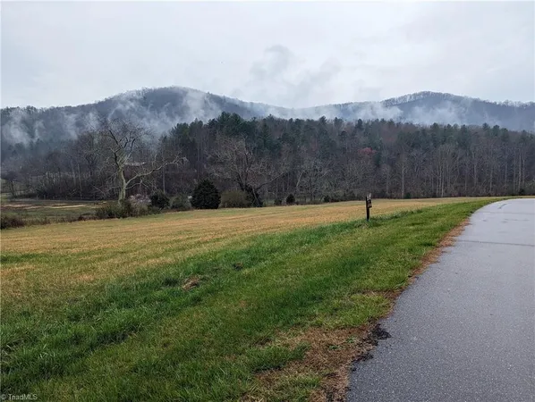 $14,500 | Tbd Antler Drive, McGrady, NC 28649