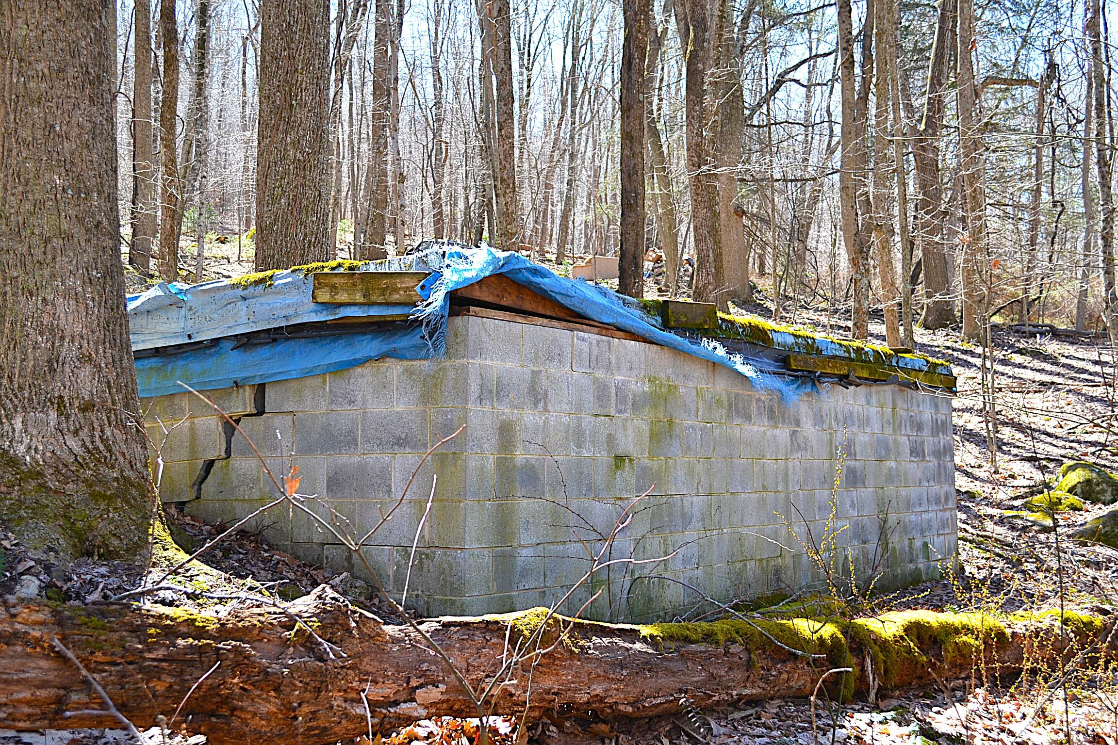 2245 Crowder Road Gap Mills, WV 24941 - Photo 11 of 41 Another Old Foundation