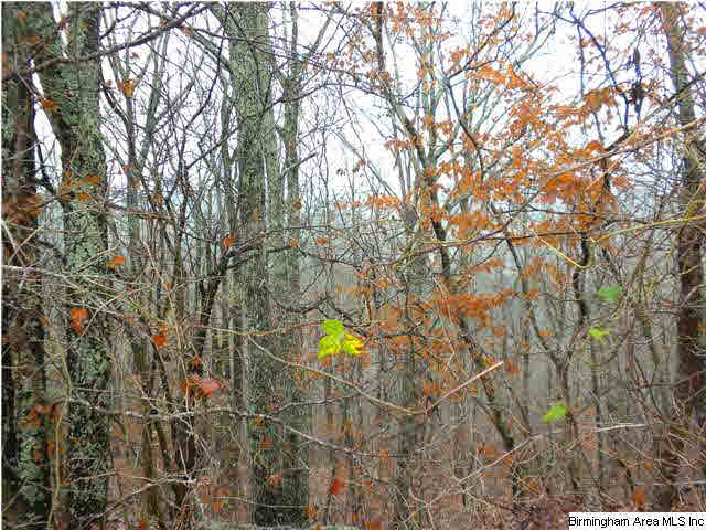 South Shades Crest Road Birmingham, AL 35214 - Photo 2 of 6