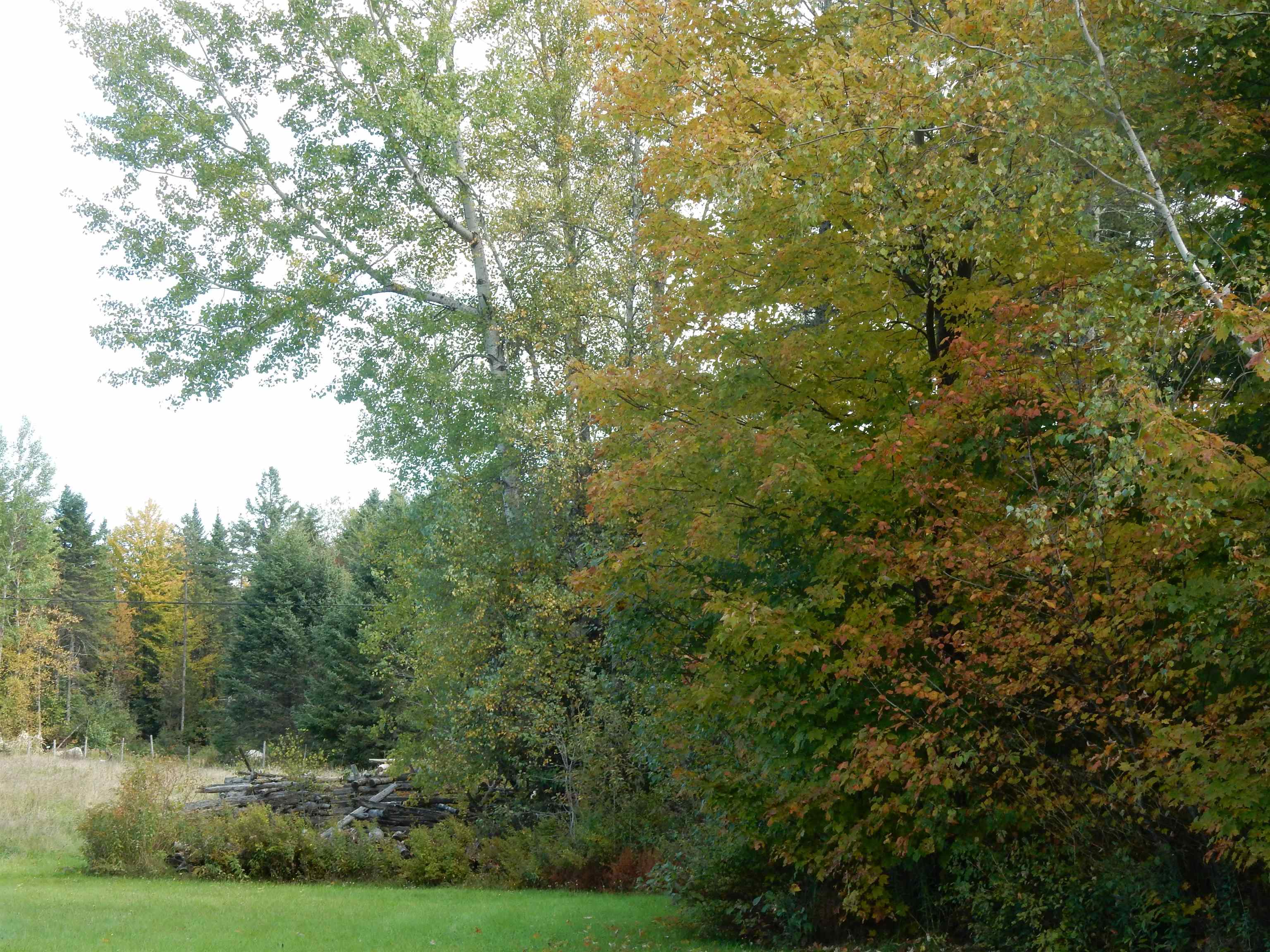 3494 Chilafoux Road Charleston, VT 05860 - Photo 3 of 13