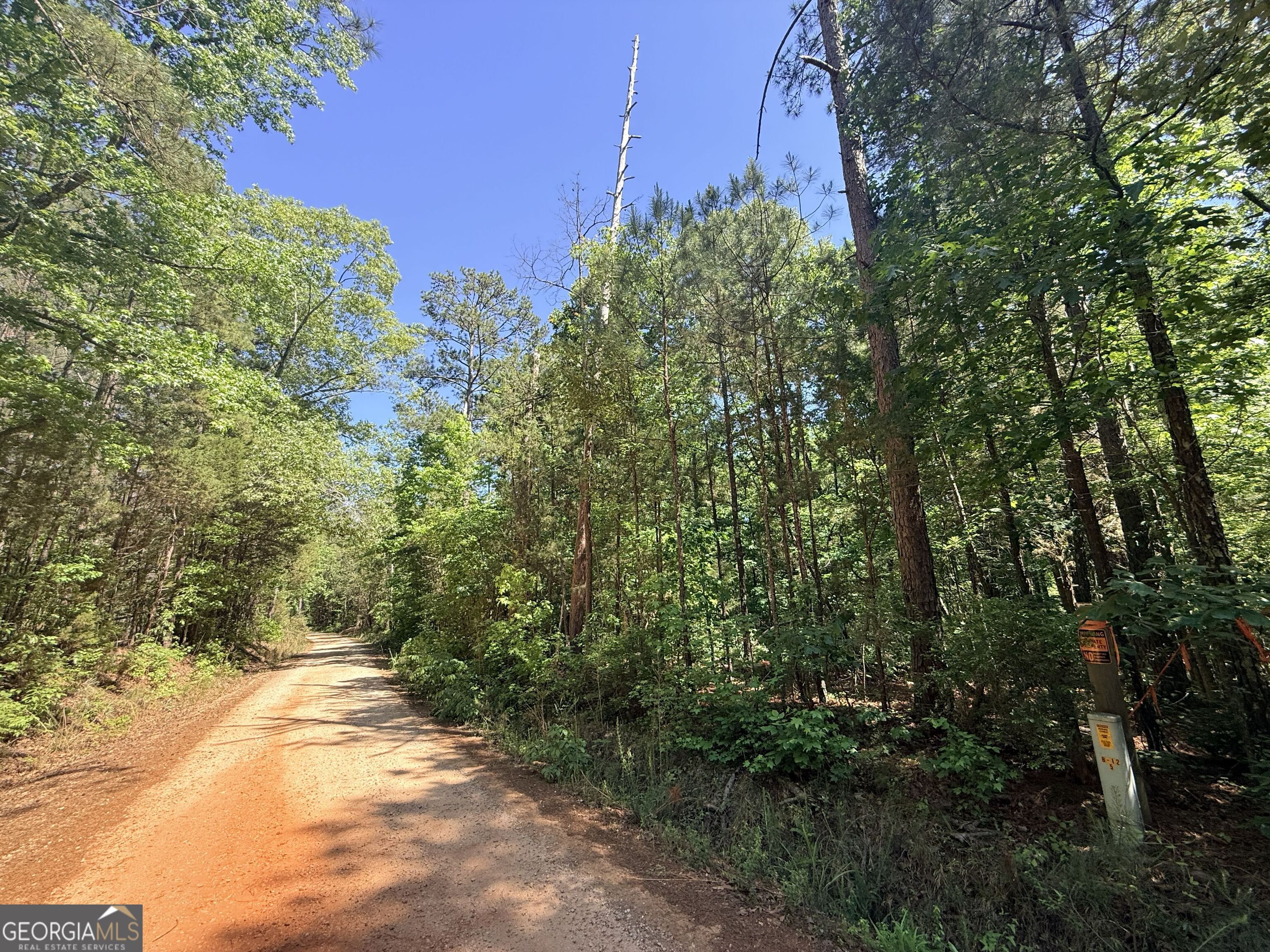 580 Saggus Road Washington, GA 30673 - Photo 18 of 54