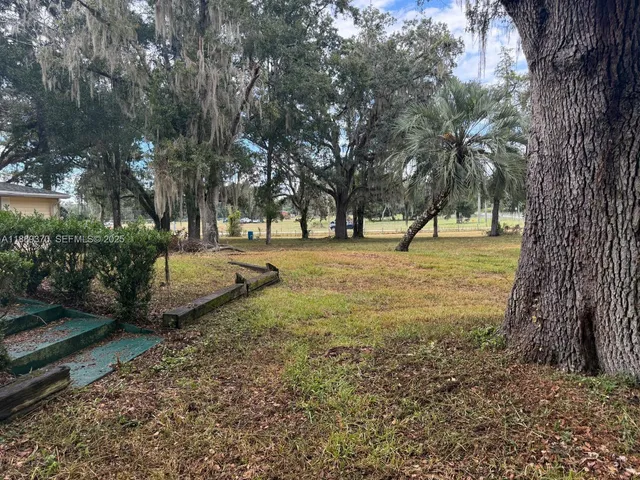 a view of yard with tree and a yard