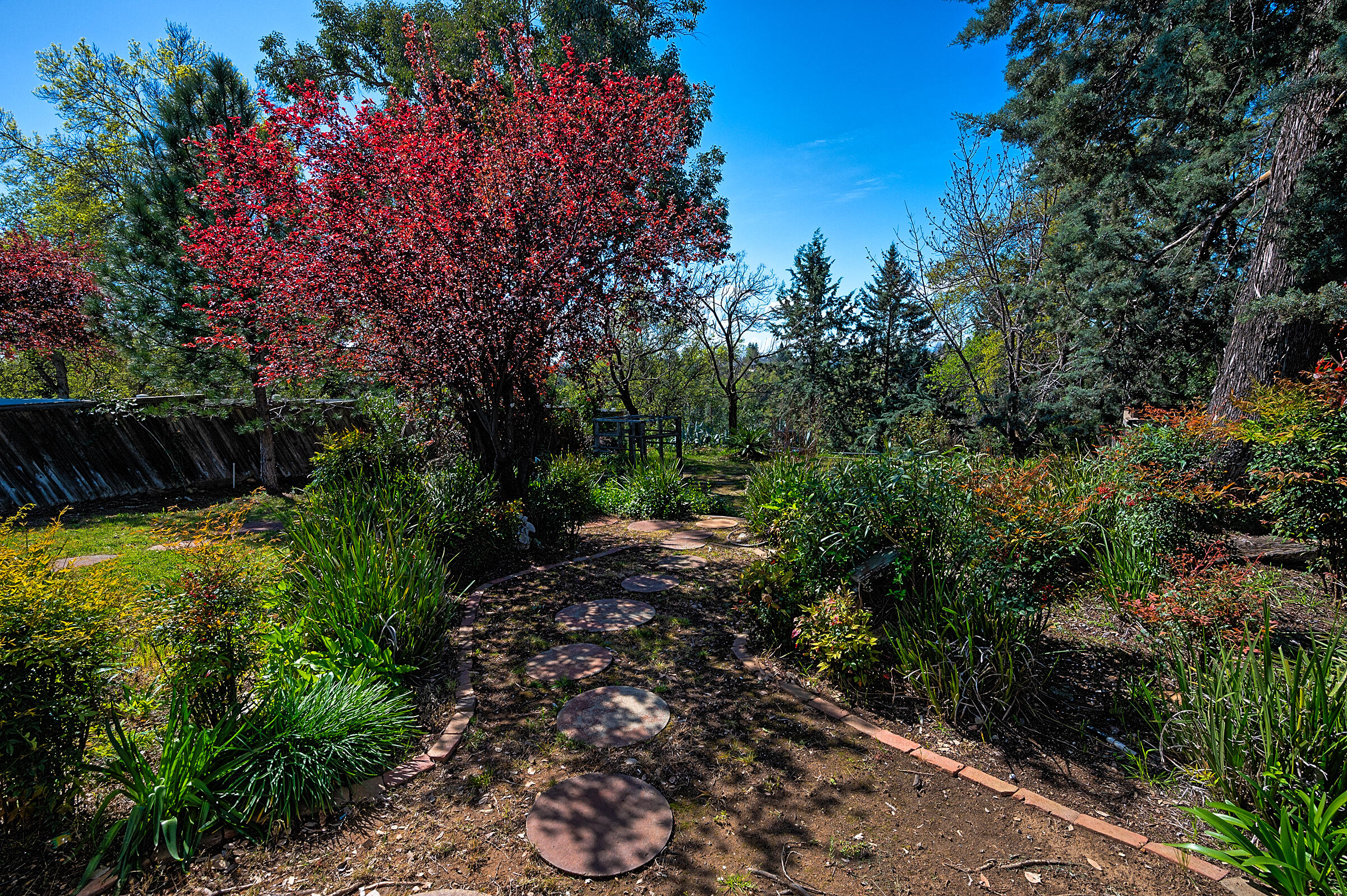 2885 Starlight Boulevard Redding, CA 96001 - Photo 42 of 51 a view of a backyard with pathway