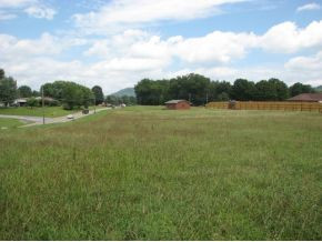 Lot 9 Love Station Road, Unit 9 Erwin, TN 37650 - Photo 3 of 5 Photo 3