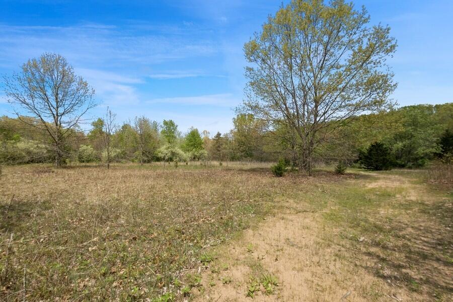 0 Weechik Road Sawyer, MI 49125 - Photo 4 of 10 4