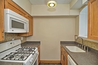 22 A Bellvista Road, Unit 22A Boston, MA 02135 - Photo 12 of 20