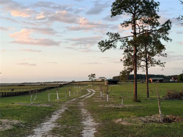 $635,000 | 12451 Northeast 20th Street, Williston, FL 32696