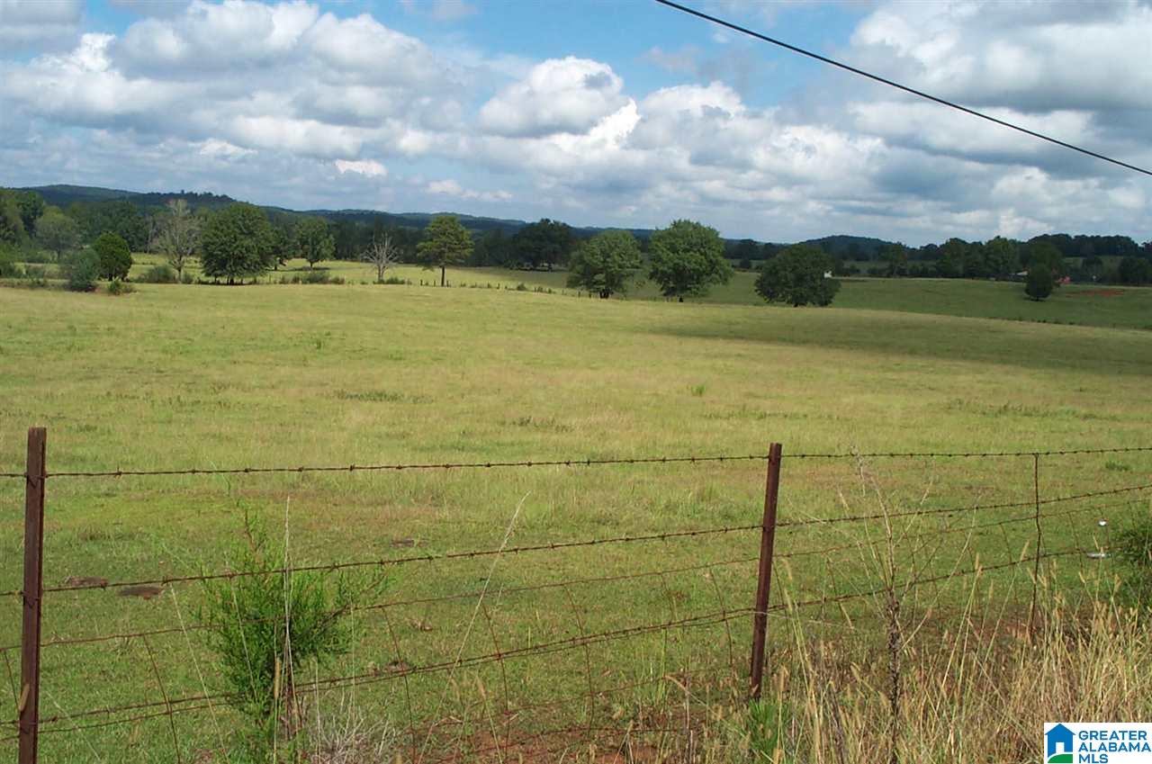 1910 Peaceful Valley Road, Unit 1 Eastaboga, AL 36260 - Photo 5 of 9