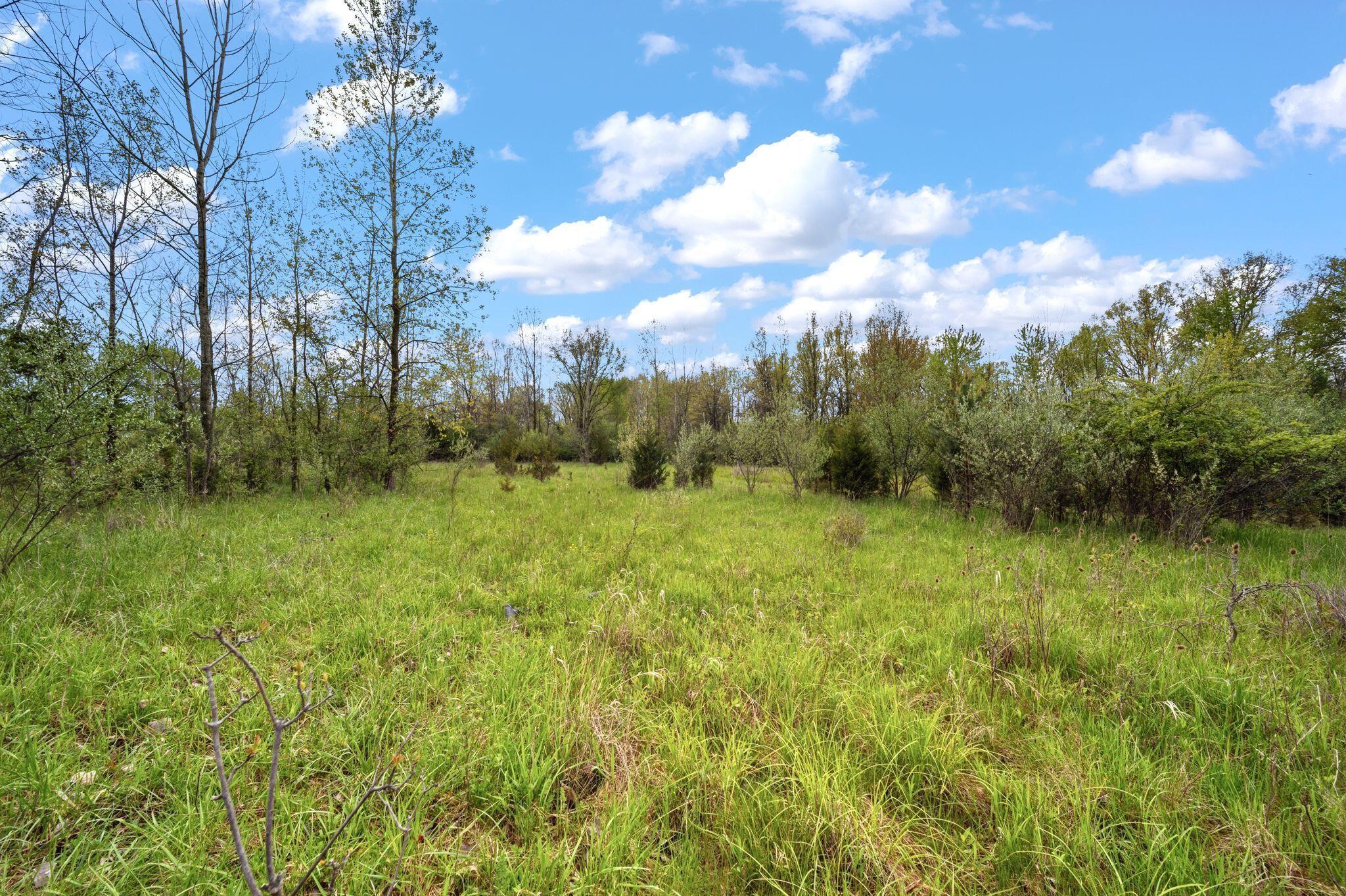 0 Lantz Road Mansfield, OH 44906 - Photo 5 of 28 AF1A3439