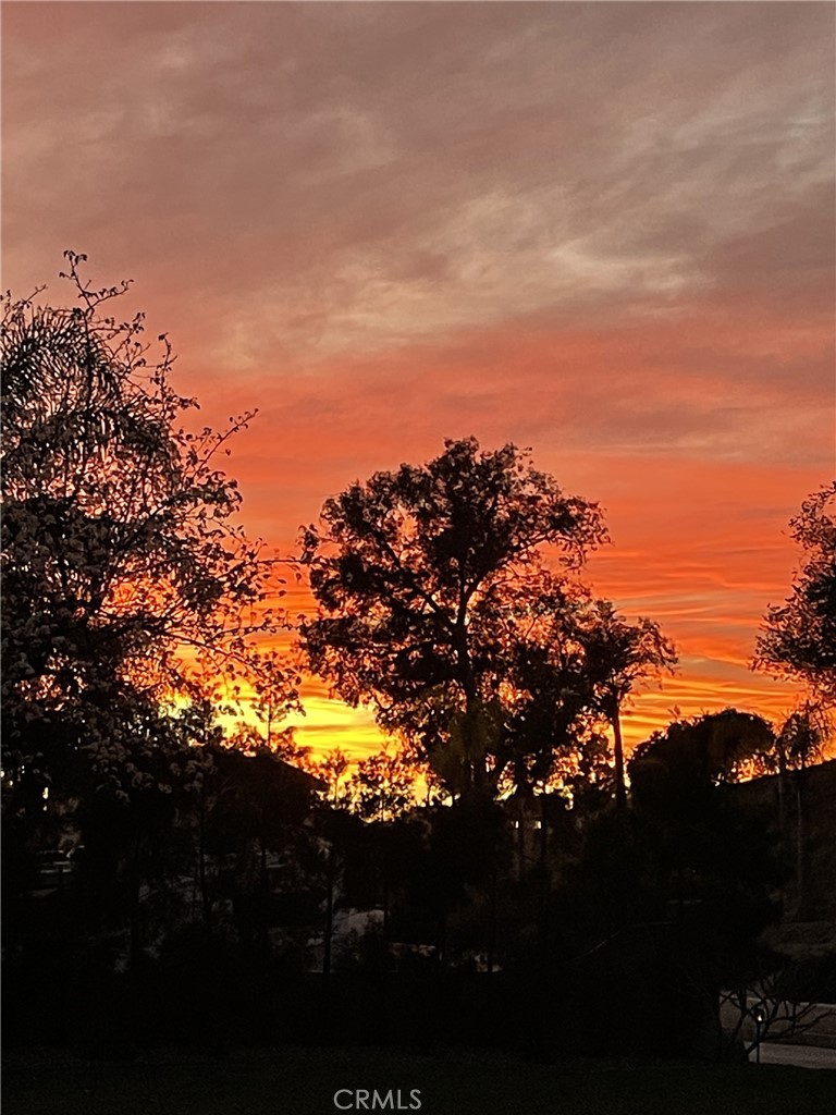 77 Altamont Way Camarillo, CA 93010 - Photo 46 of 48 a view of a tree