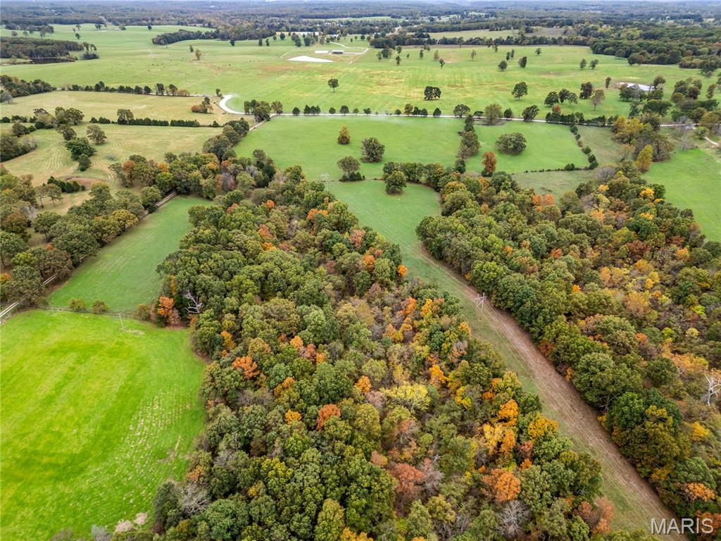 0 Bangor Road Crocker, MO 65452 - Photo 4 of 14