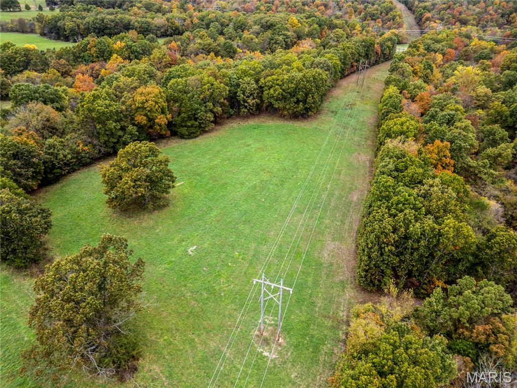 0 Bangor Road Crocker, MO 65452 - Photo 7 of 14