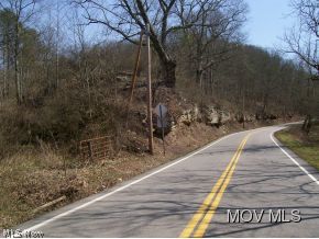 0 Garfield Road Palestine, WV 26160 - Photo 5 of 7