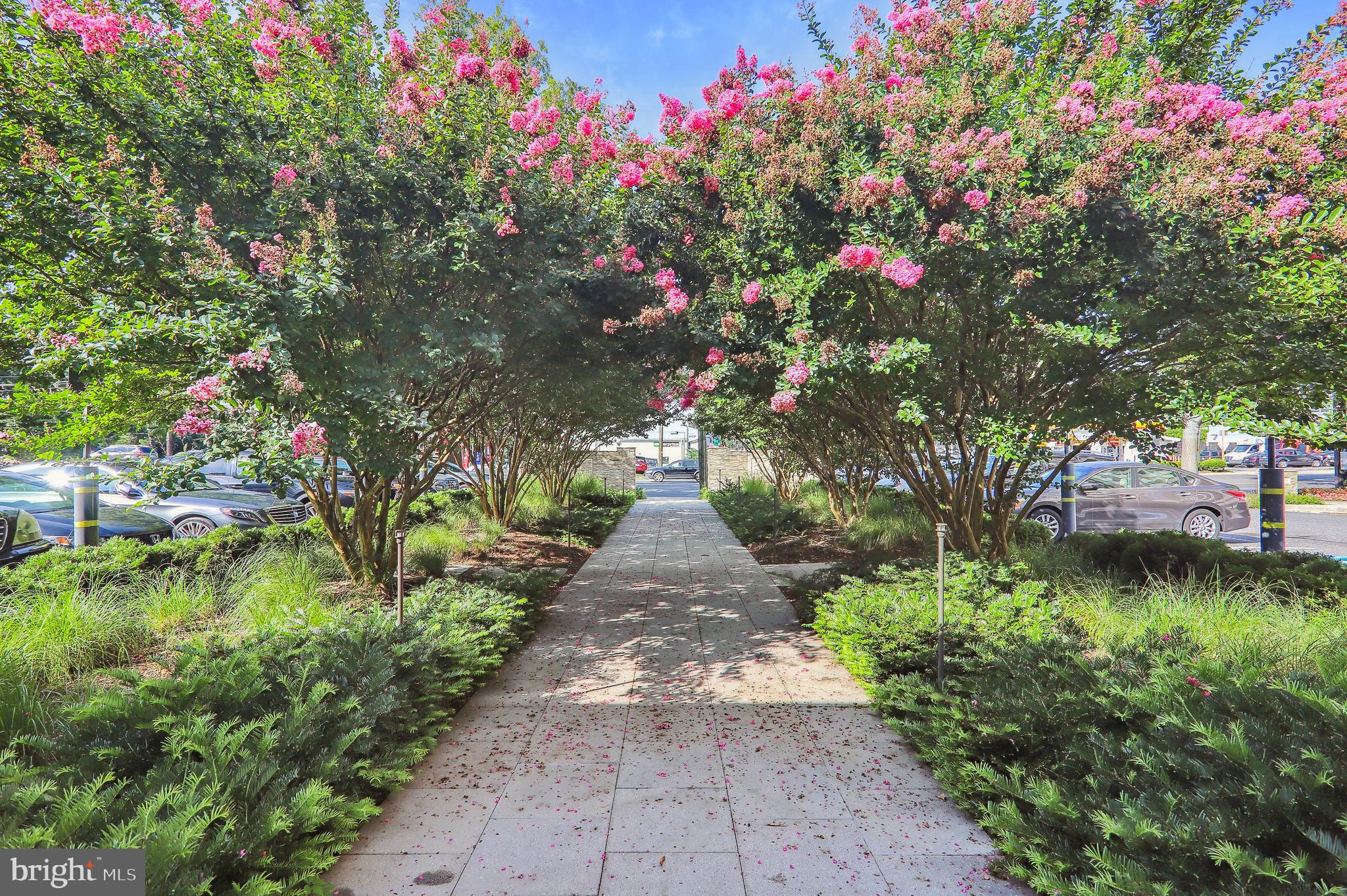 5101 River Road, Unit 601 Bethesda, MD 20816 - Photo 2 of 38 Gallery Image 2
