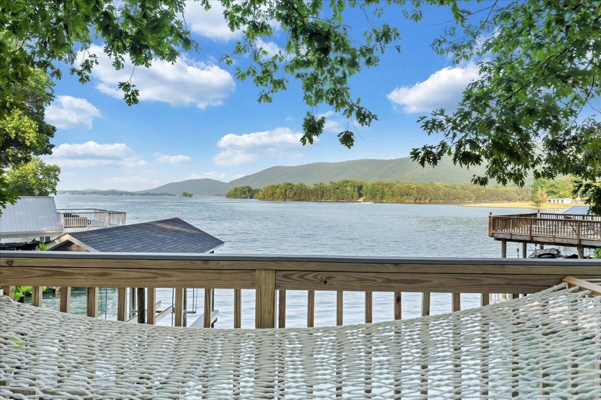 300 Hardy Road Penhook, VA 24137 - Photo 78 of 80 19-MIB05172