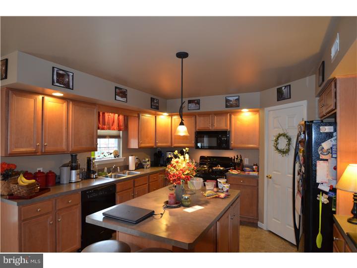 111 Clearview Drive Sinking Spring, PA 19608 - Photo 7 of 25 Gallery Image 7