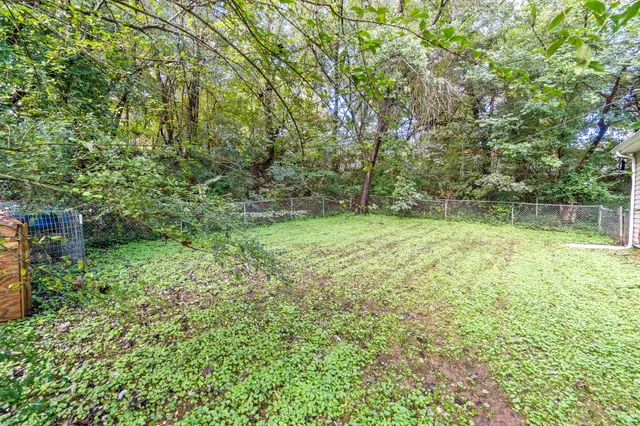 a view of a lush green space