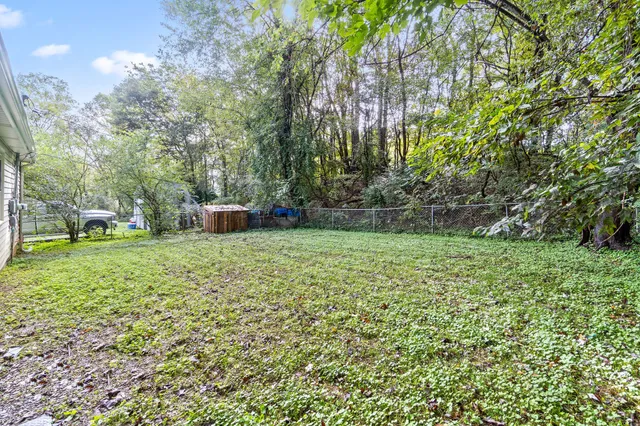 a backyard of a house with trees and entertaining space