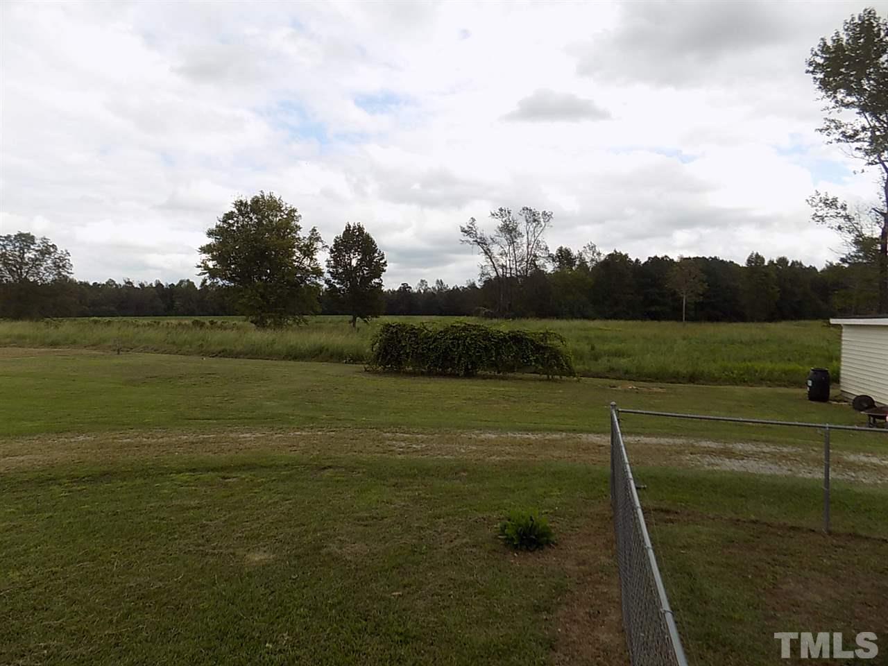 1111 Cole Road Clayton, NC 27520 - Photo 22 of 25 view from sun room - grapevines