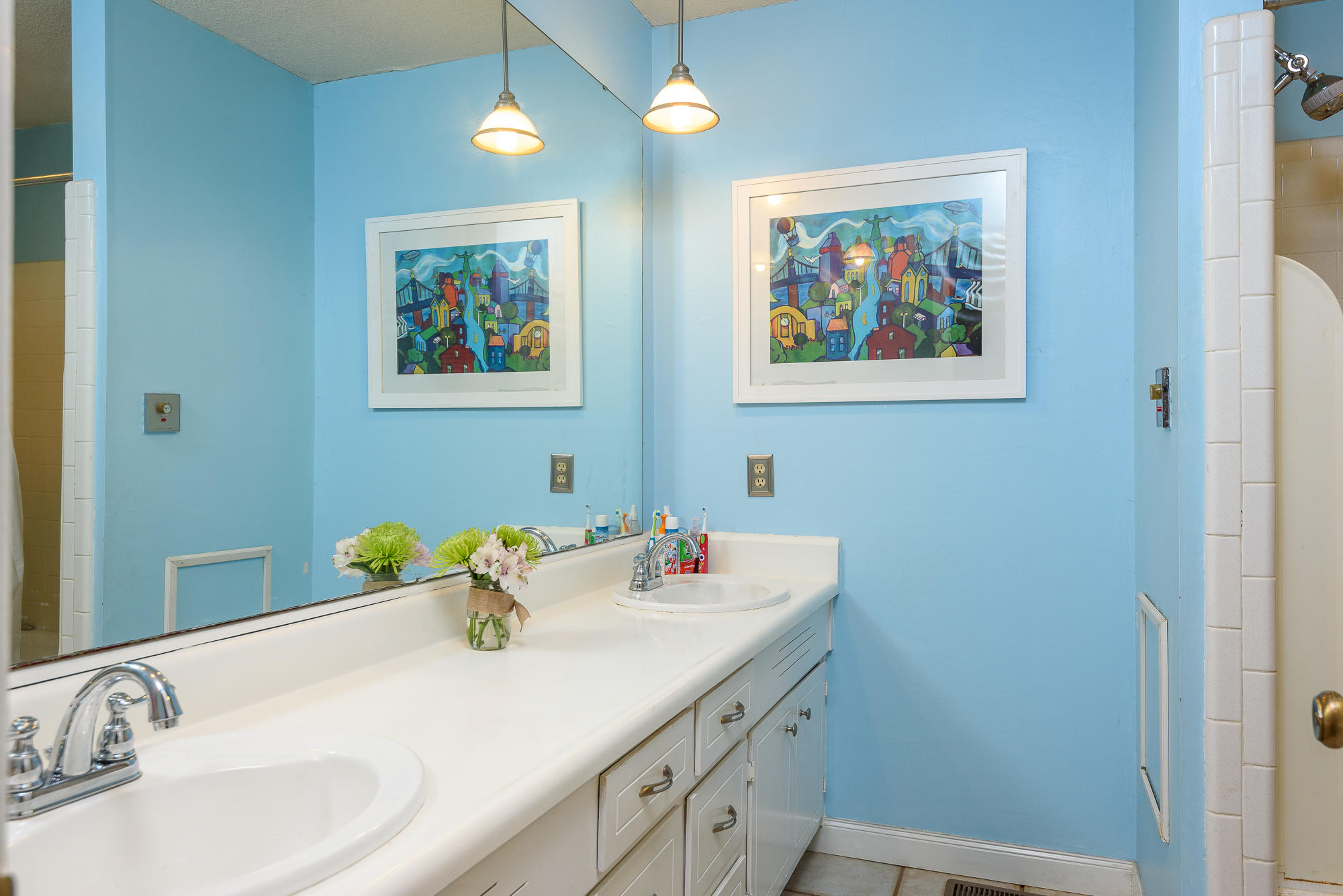 1702 Hollister Road Signal Mountain, TN 37377 - Photo 22 of 35 Hall bath