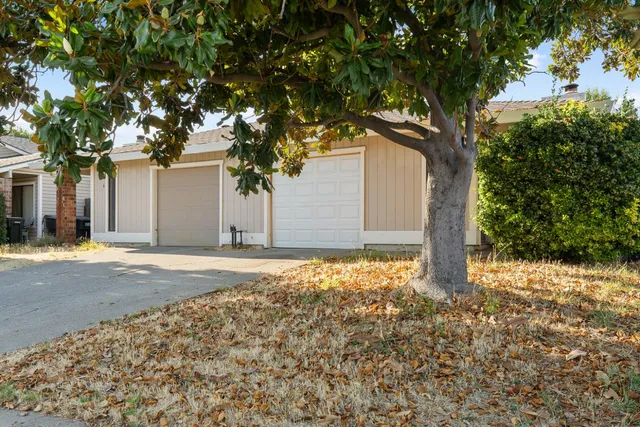 a house with a tree in front of it