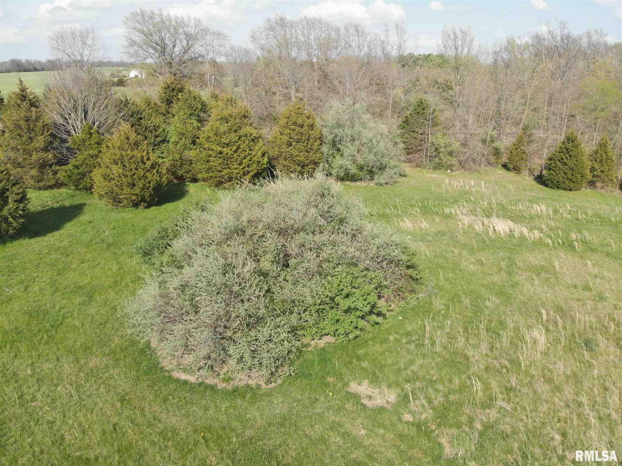 9660 Jolliff Bridge Road Centralia, IL 62801 - Photo 7 of 11