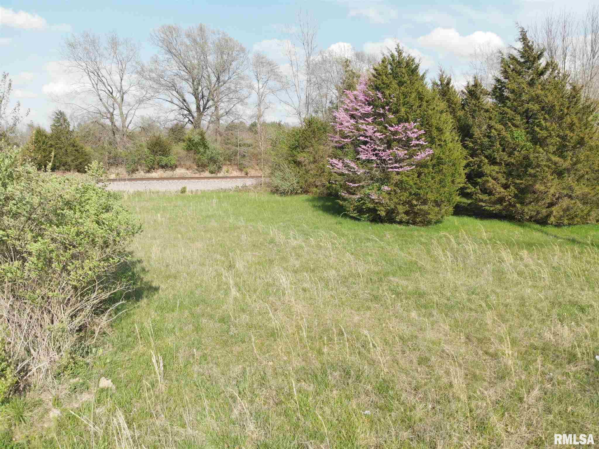 9660 Jolliff Bridge Road Centralia, IL 62801 - Photo 9 of 11