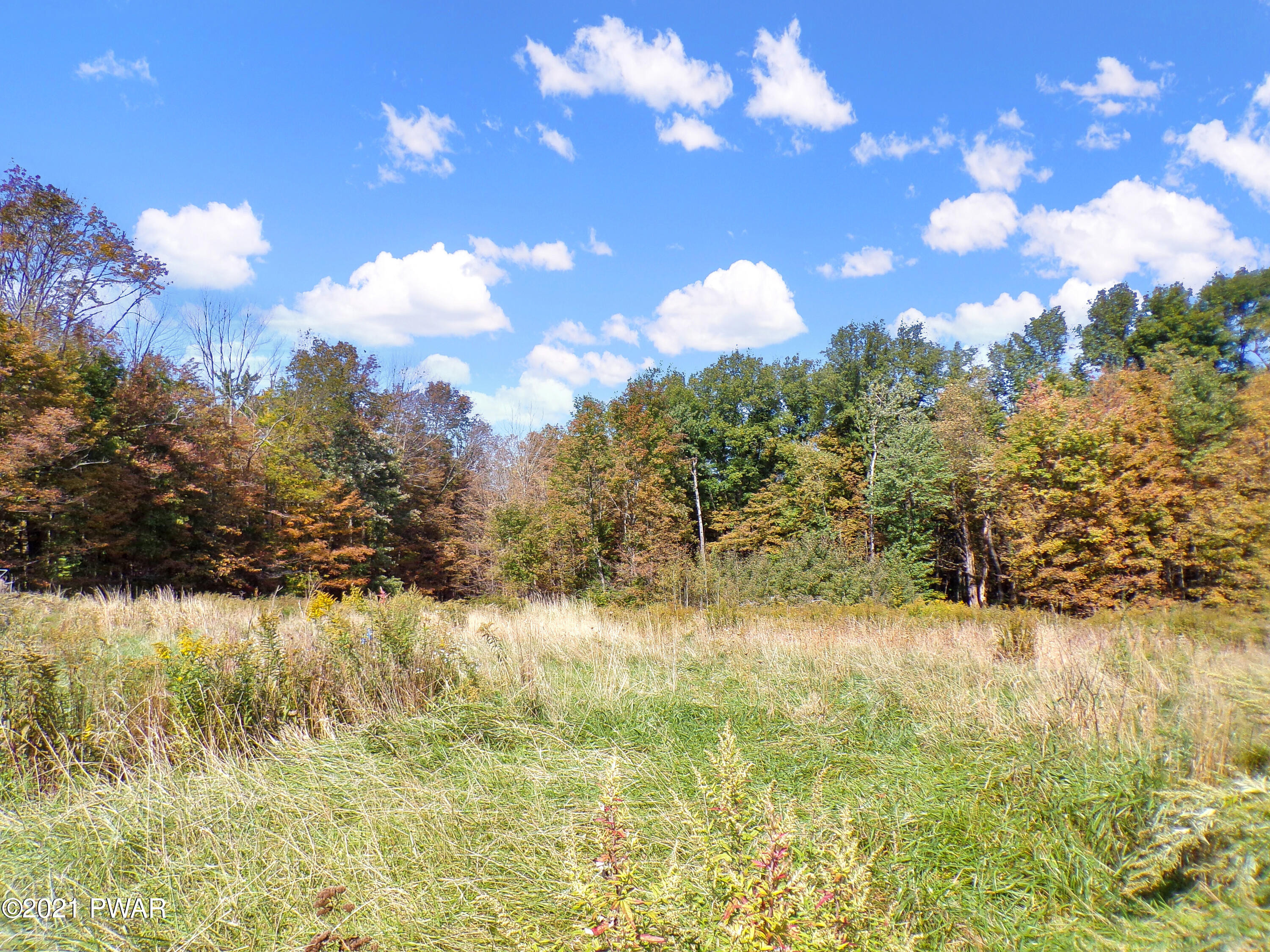 86 Gas Hollow Road Newfoundland, PA 18445 - Photo 10 of 13