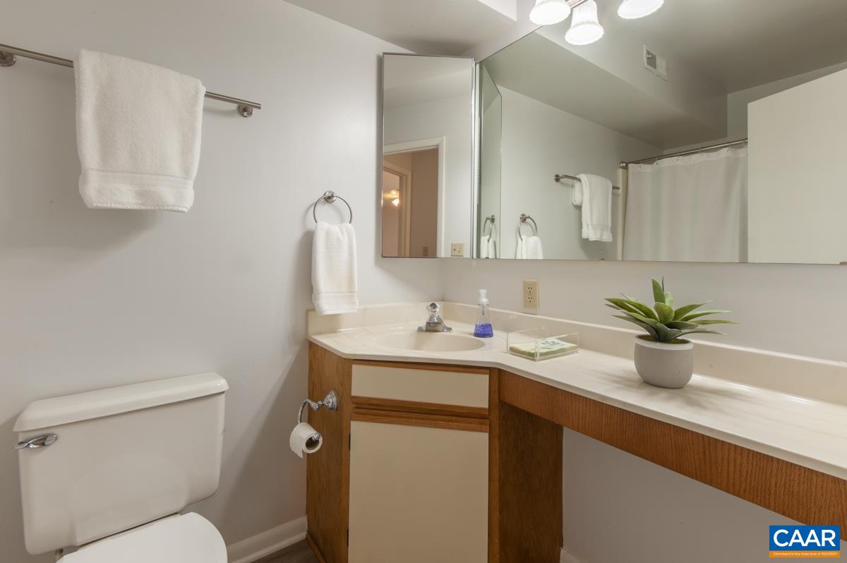 117 Turtle Creek Road, Unit 9 Charlottesville, VA 22901 - Photo 21 of 33 a bathroom with a sink a toilet and mirror
