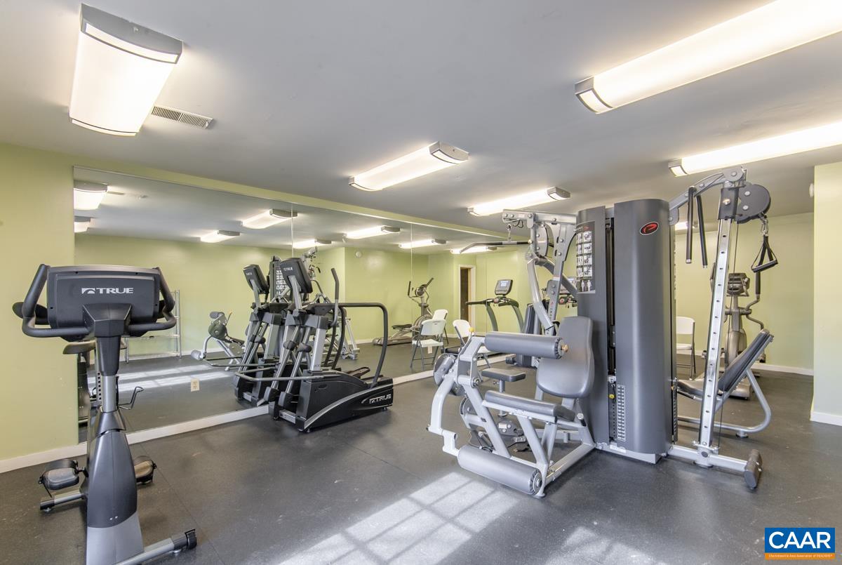 117 Turtle Creek Road, Unit 9 Charlottesville, VA 22901 - Photo 29 of 33 a view of a room with gym equipment