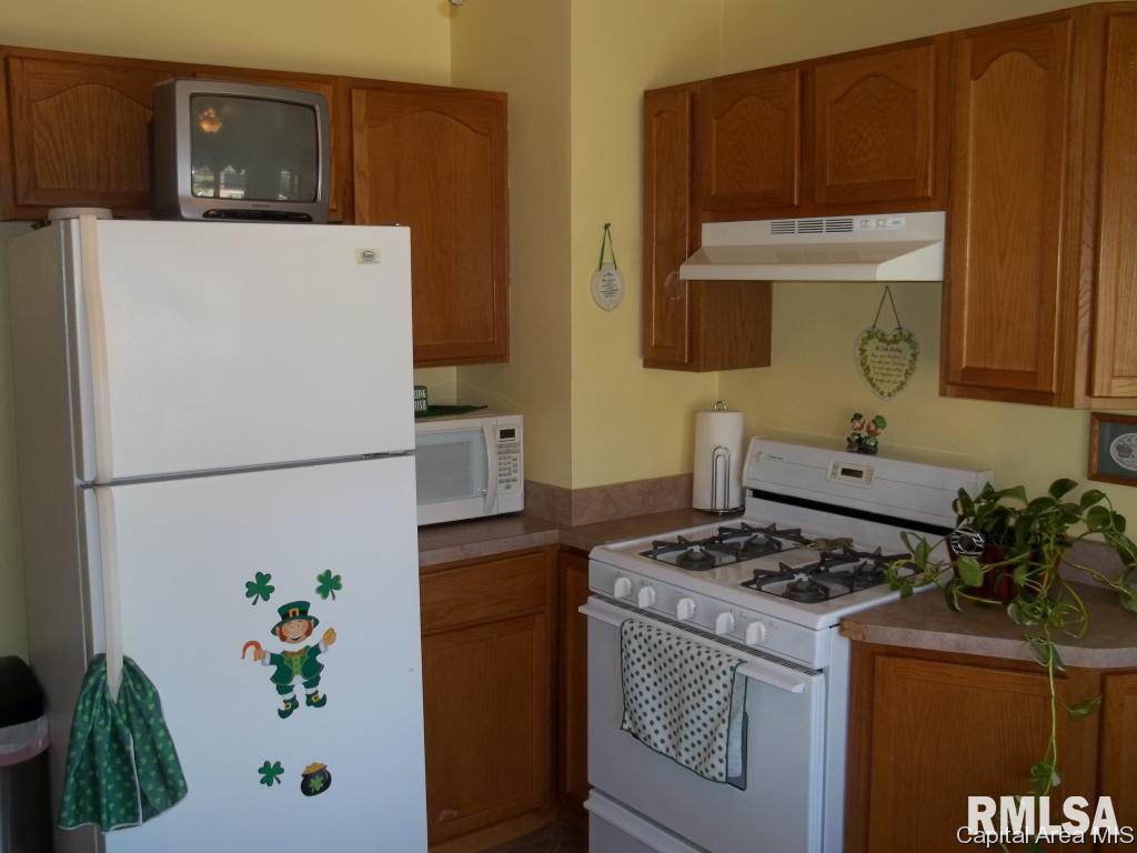 3313 Sheridan Street Springfield, IL 62703 - Photo 9 of 19