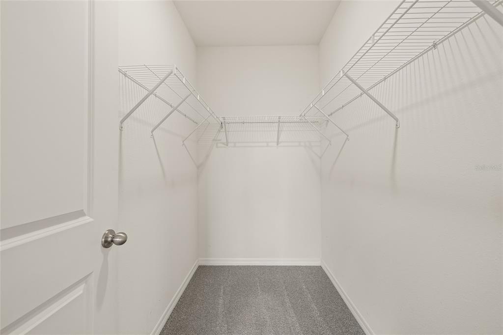 31276 Penny Surf Loop Wesley Chapel, FL 33545 - Photo 26 of 46