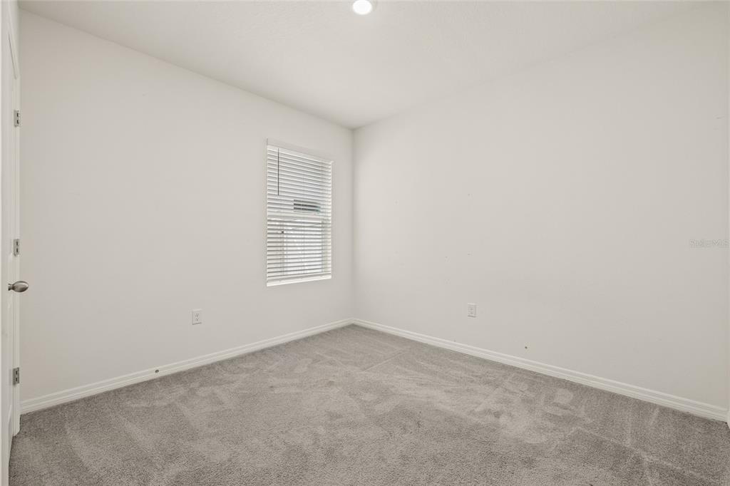 31276 Penny Surf Loop Wesley Chapel, FL 33545 - Photo 30 of 46