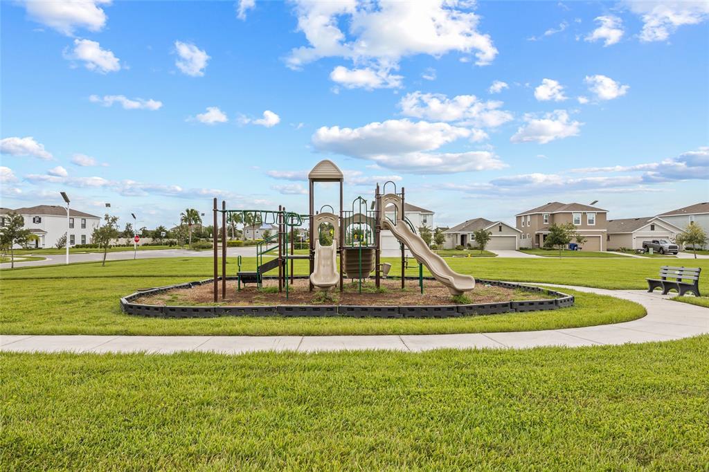 31276 Penny Surf Loop Wesley Chapel, FL 33545 - Photo 45 of 46