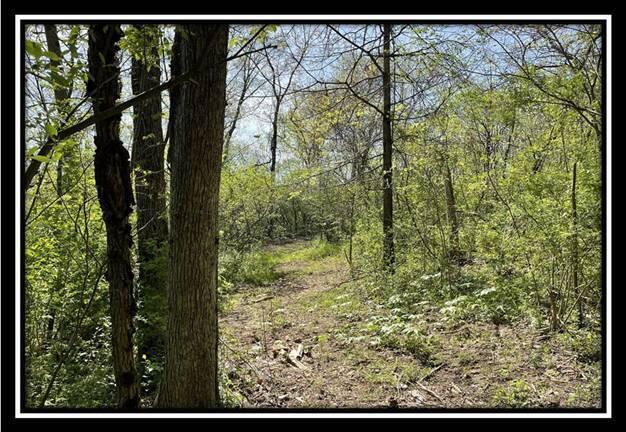 0 Shaver Road, Unit TRACT 1 Blue Rock, OH 43720 - Photo 20 of 31 image020
