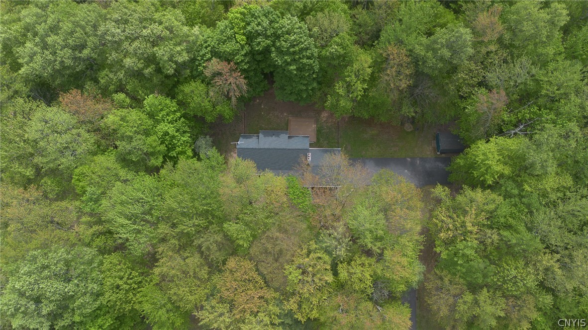 53 Pine Ridge Terrace Central Square, NY 13036 - Photo 49 of 49