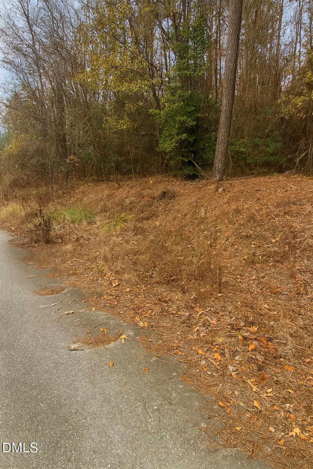 0 Russell Hogan Lane Benson, NC 27504 - Photo 4 of 4 a view of a yard