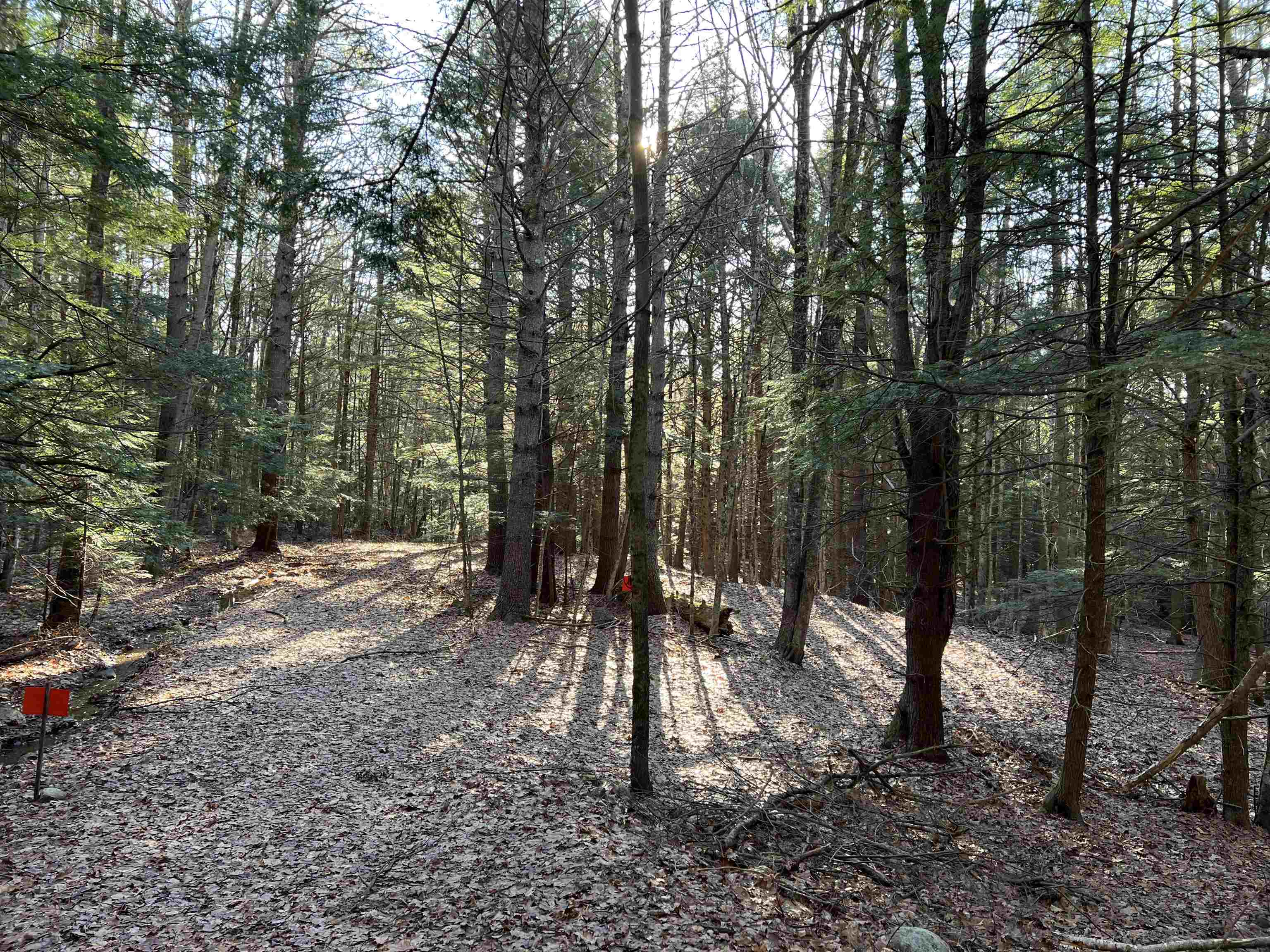 419-08 Berry Road Alexandria, NH 03222 - Photo 7 of 17 Gallery Image 7