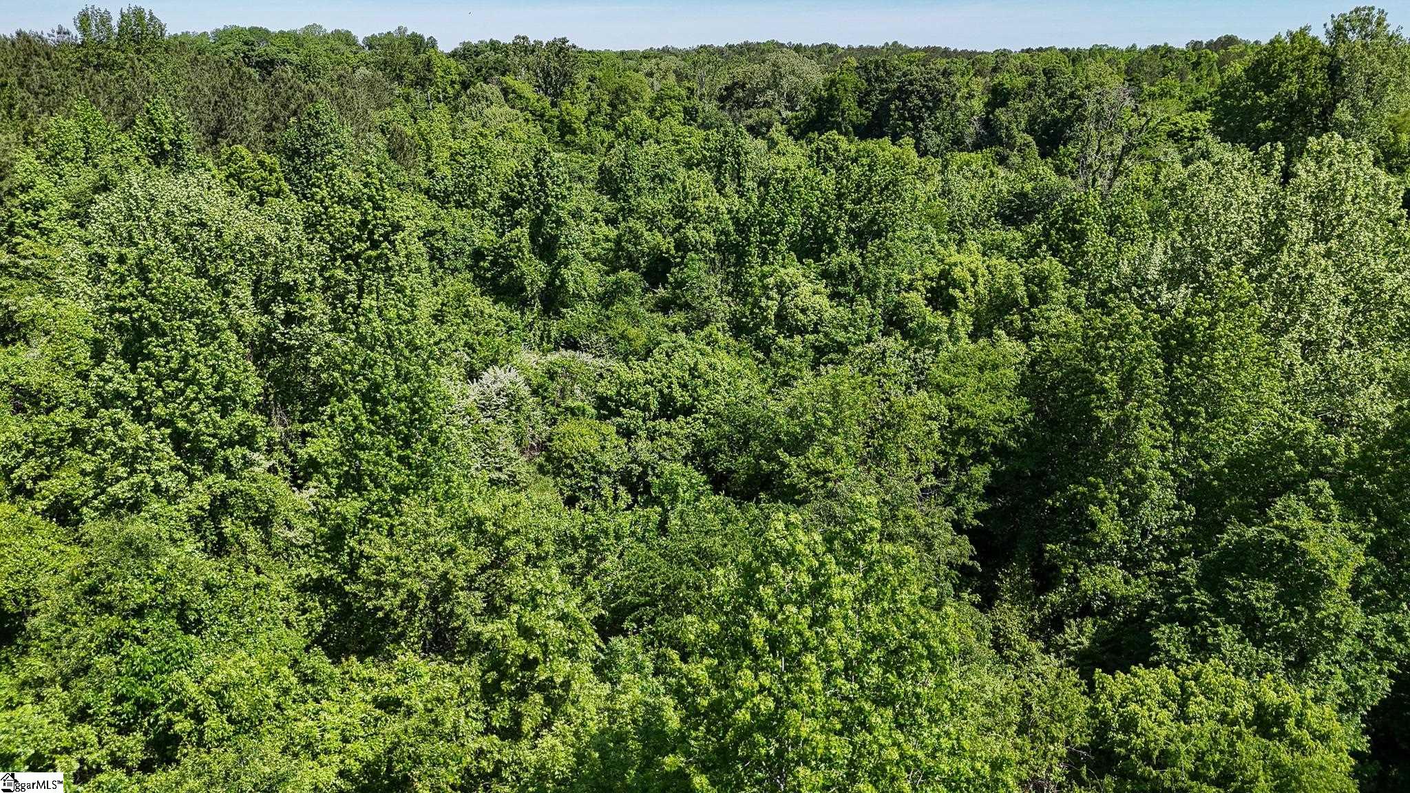 4 Lisbon Road, Unit LOT 4 Mountville, SC 29370 - Photo 11 of 18