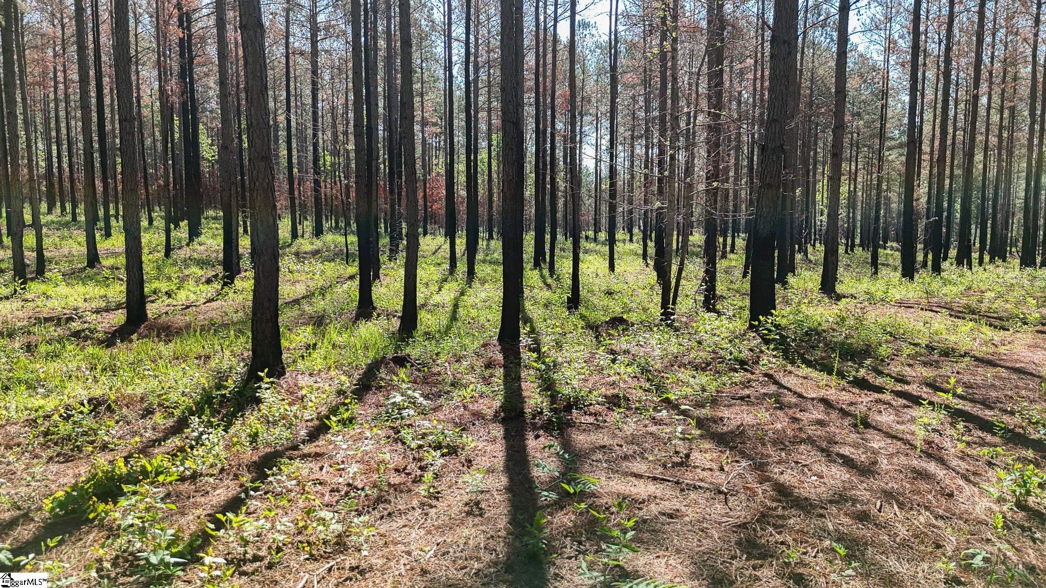 4 Lisbon Road, Unit LOT 4 Mountville, SC 29370 - Photo 12 of 18