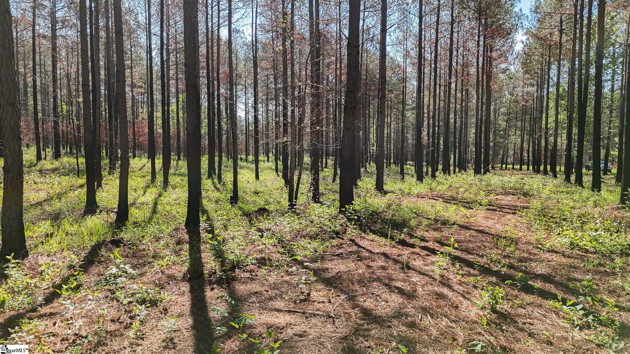 4 Lisbon Road, Unit LOT 4 Mountville, SC 29370 - Photo 13 of 18