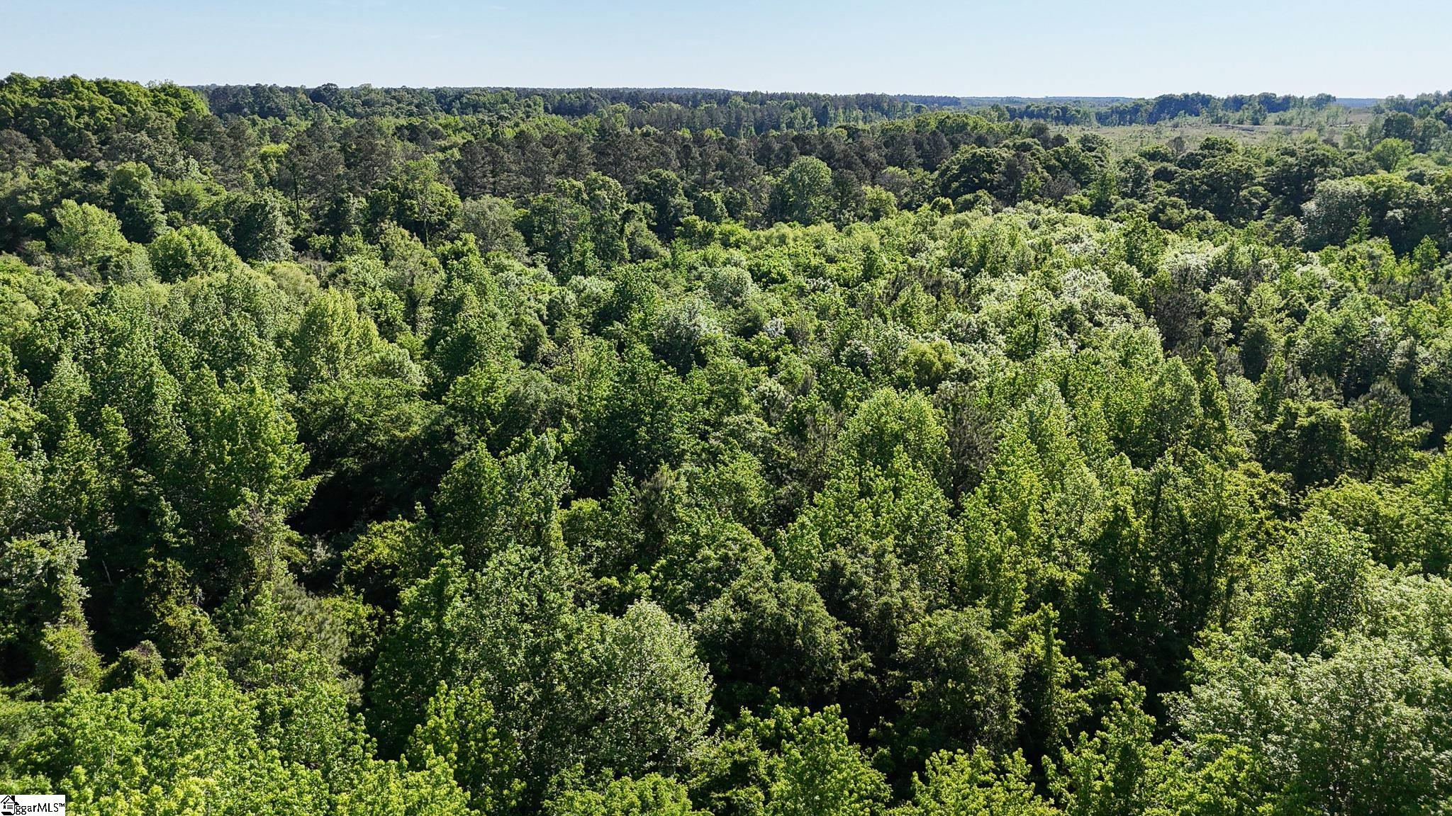 4 Lisbon Road, Unit LOT 4 Mountville, SC 29370 - Photo 17 of 18