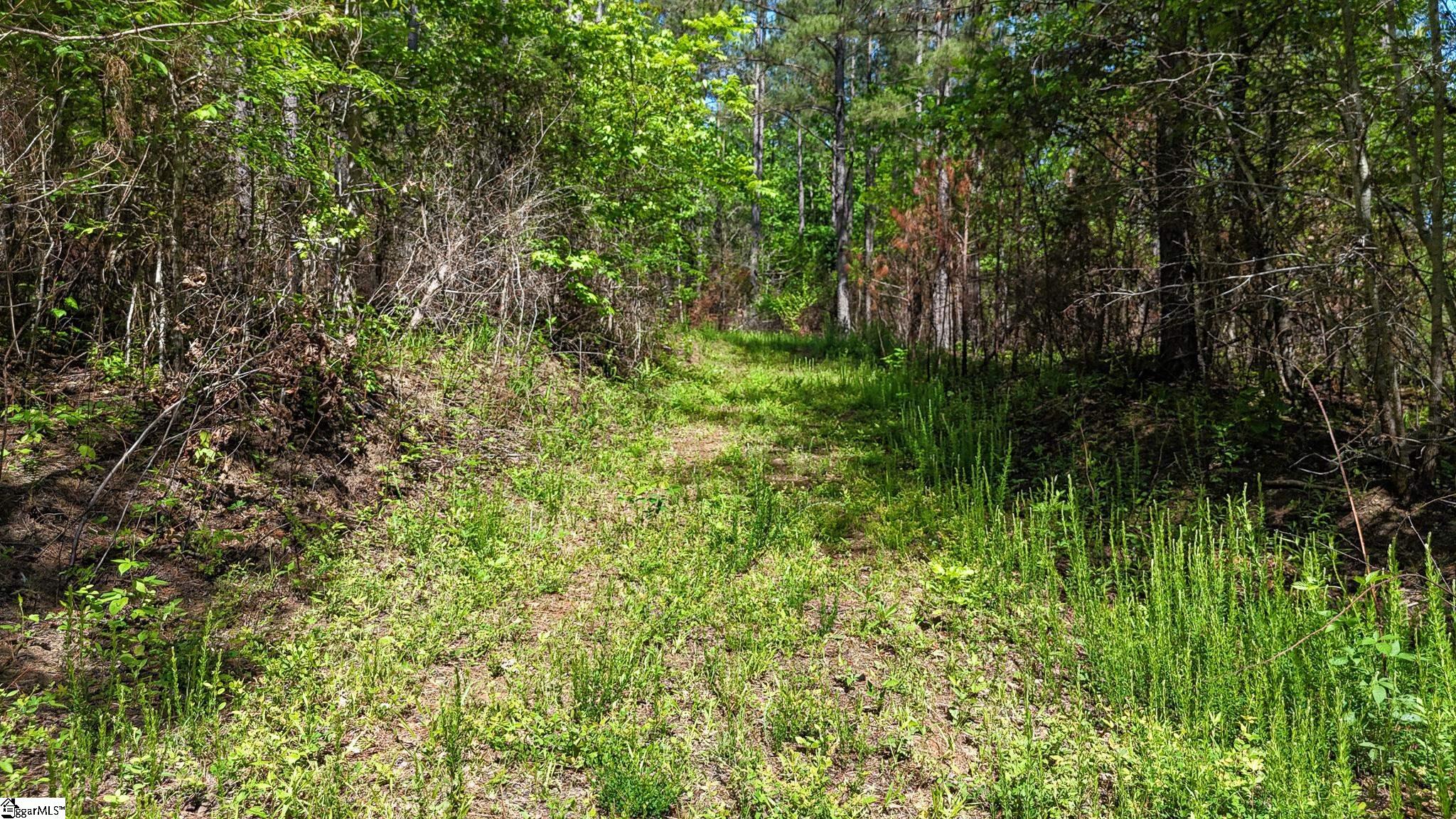 4 Lisbon Road, Unit LOT 4 Mountville, SC 29370 - Photo 4 of 18