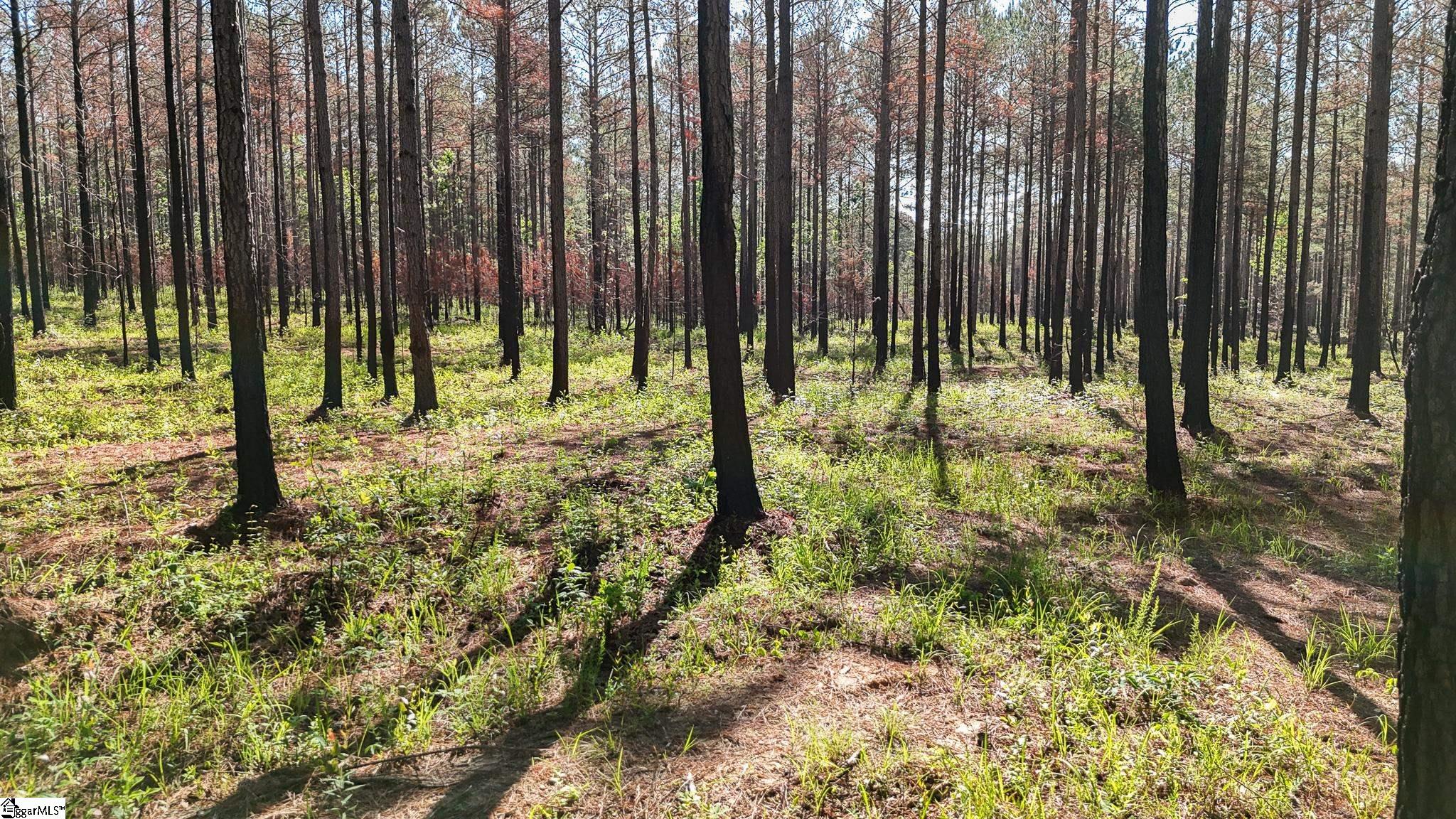 4 Lisbon Road, Unit LOT 4 Mountville, SC 29370 - Photo 5 of 18