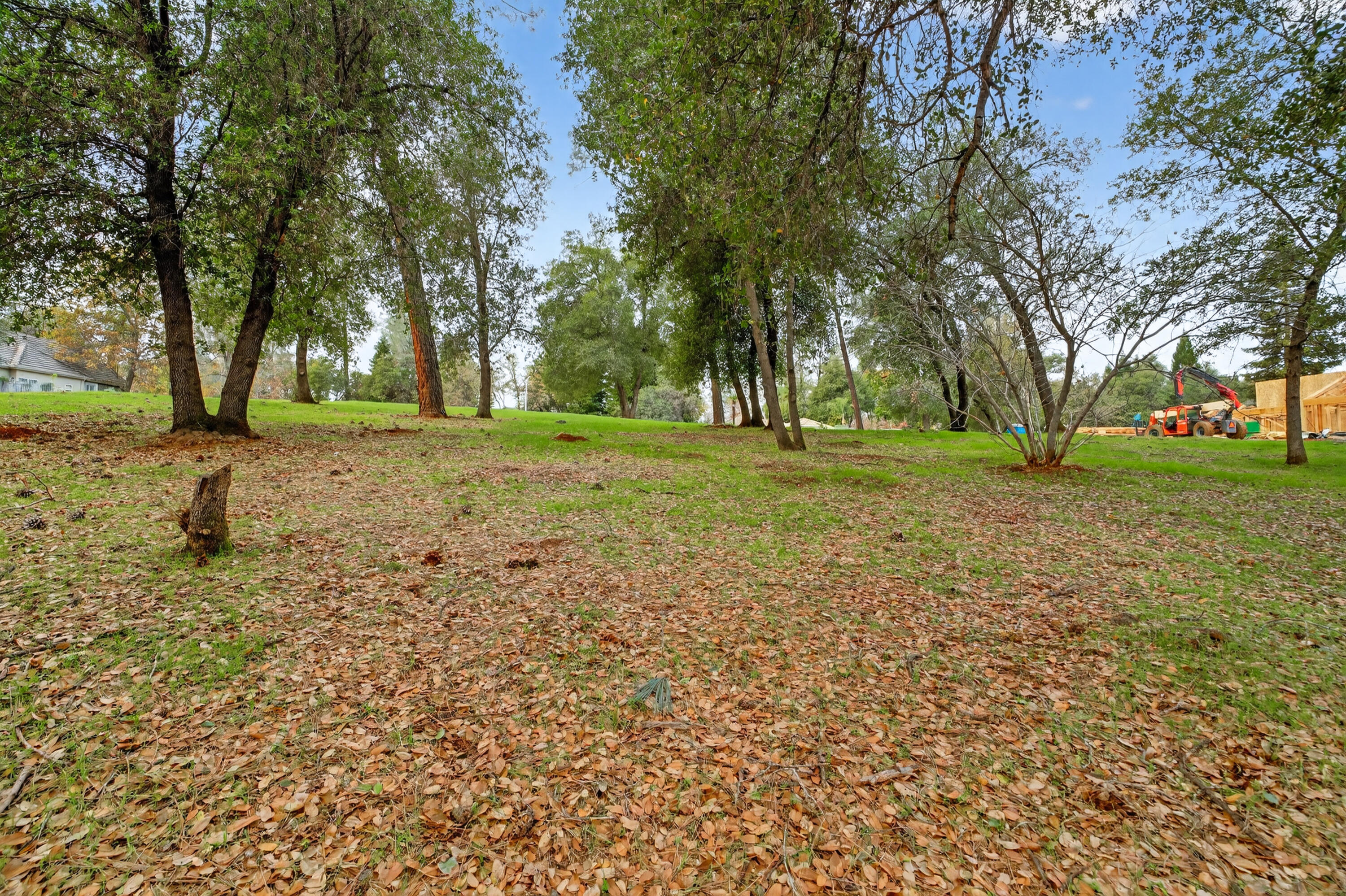 13315 Tierra Heights Road Redding, CA 96003 - Photo 12 of 14 a view of a yard with a tree
