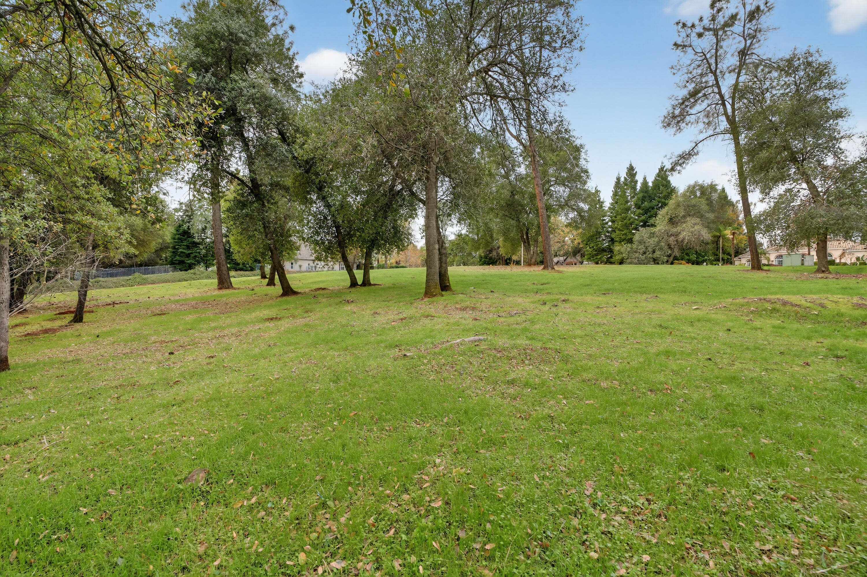 13315 Tierra Heights Road Redding, CA 96003 - Photo 13 of 14 a grassy field with trees in the background