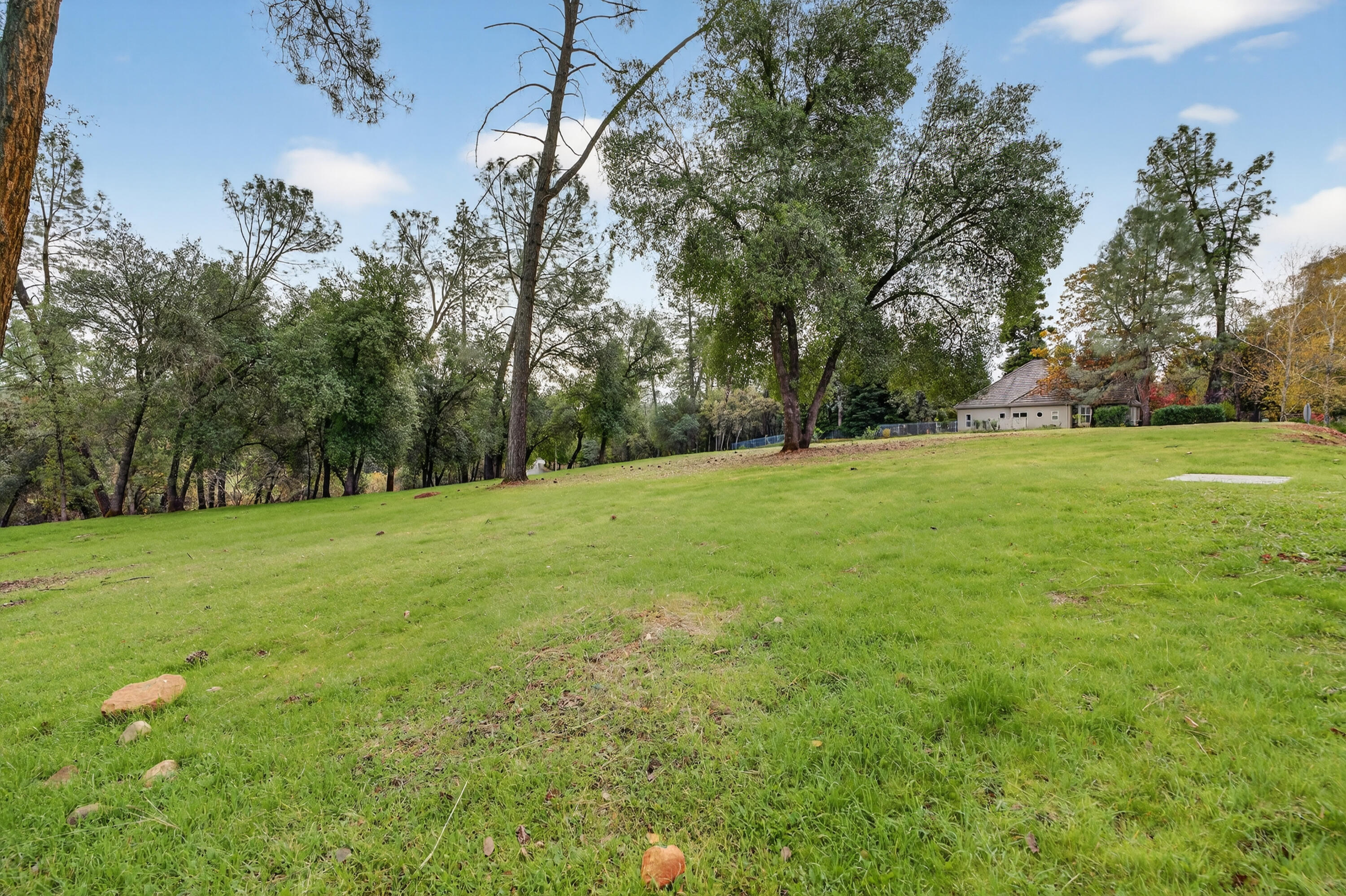 13315 Tierra Heights Road Redding, CA 96003 - Photo 14 of 14 a view of a field with trees in the background